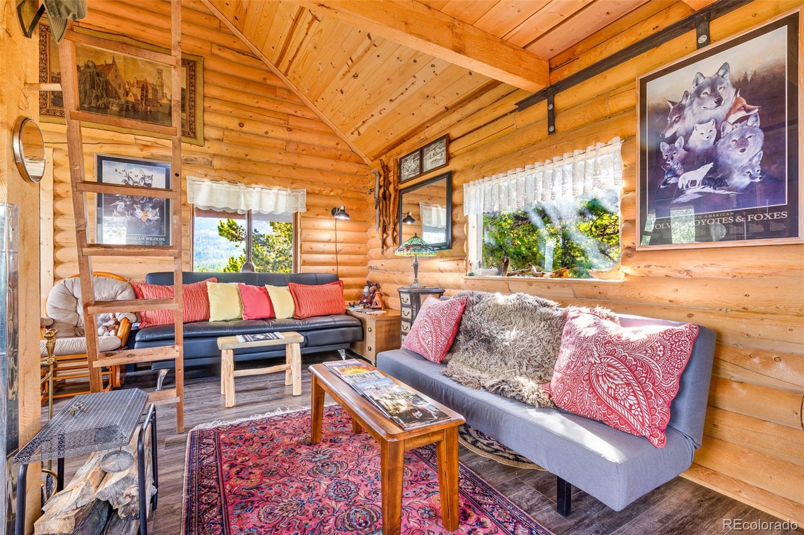 MLS Image #43 for 210  pine ridge road,fairplay, Colorado
