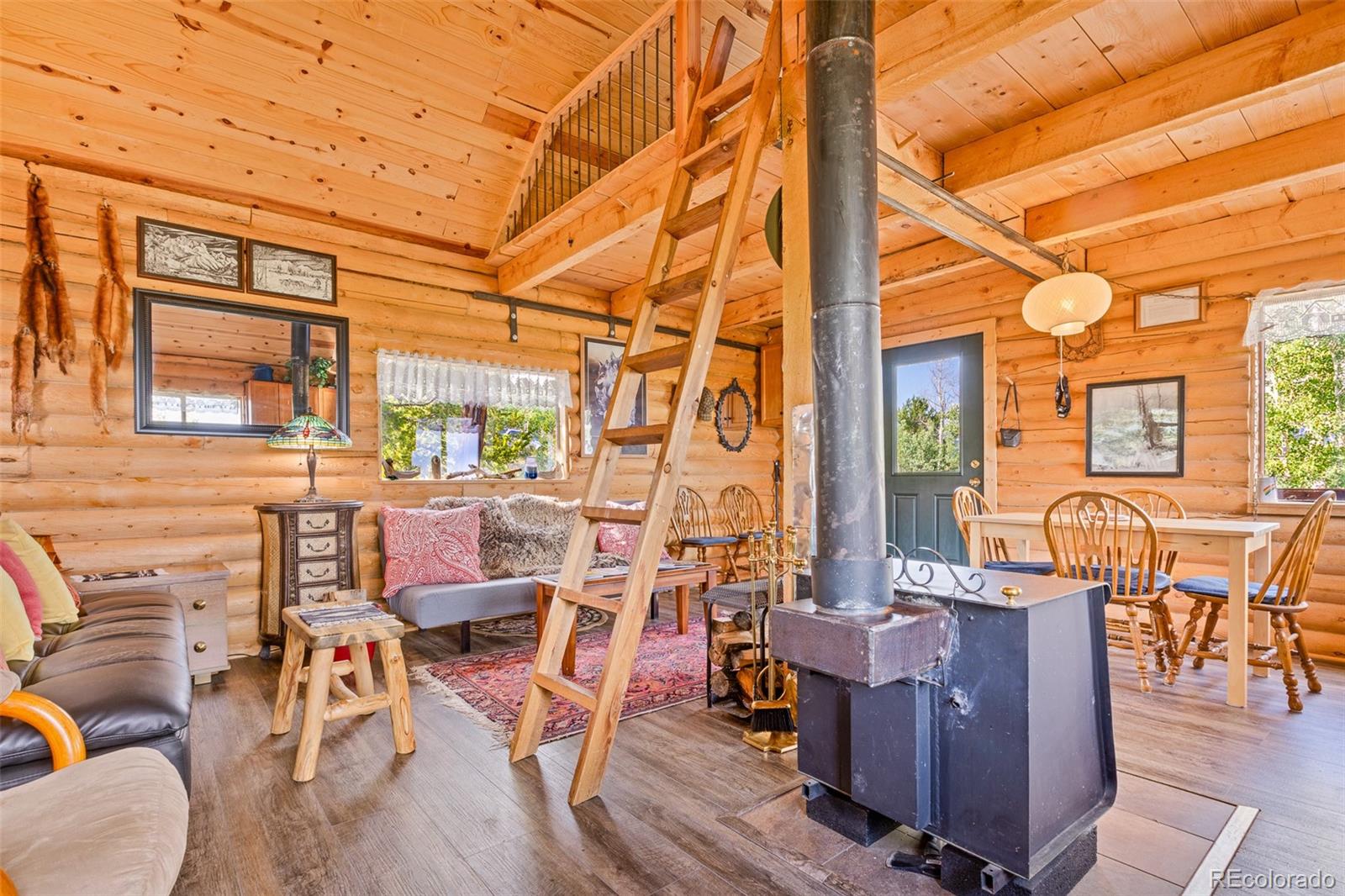 MLS Image #45 for 210  pine ridge road,fairplay, Colorado