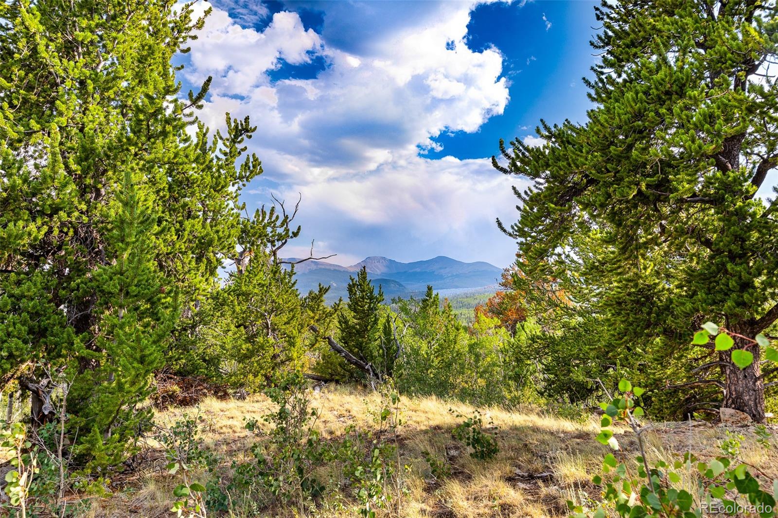 MLS Image #46 for 210  pine ridge road,fairplay, Colorado