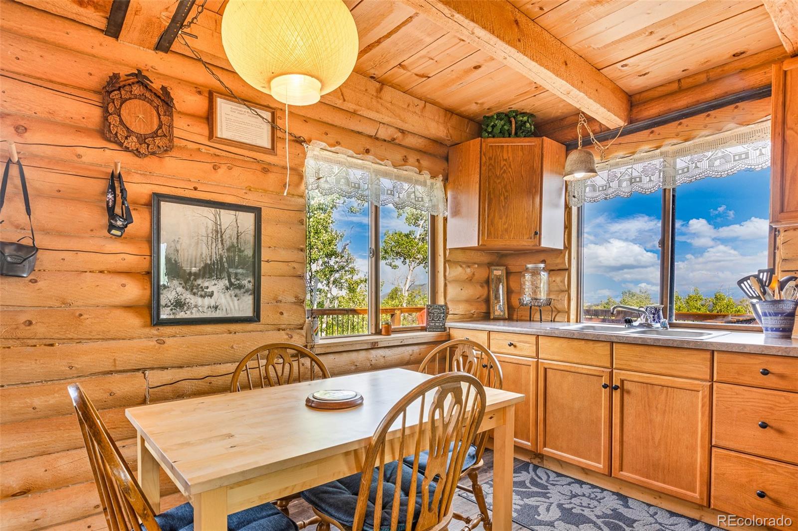 MLS Image #5 for 210  pine ridge road,fairplay, Colorado