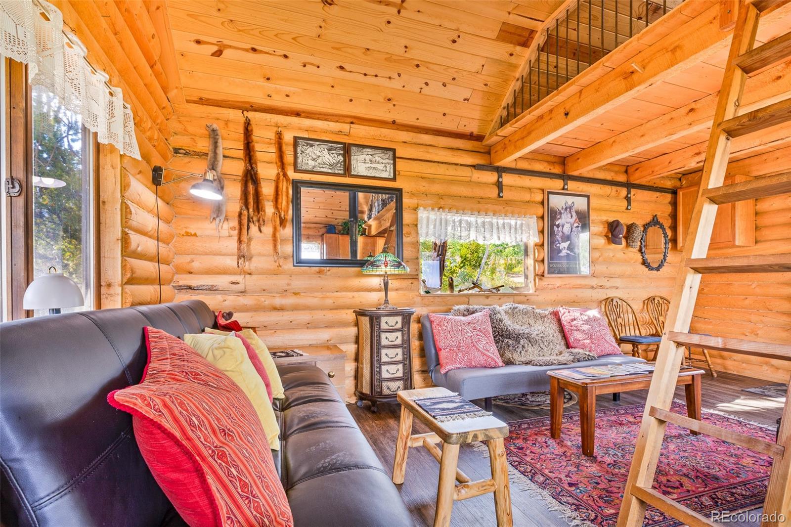 MLS Image #6 for 210  pine ridge road,fairplay, Colorado