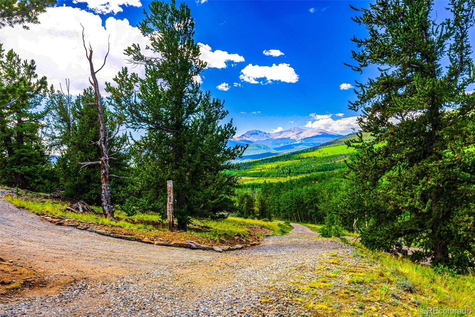 MLS Image #7 for 210  pine ridge road,fairplay, Colorado