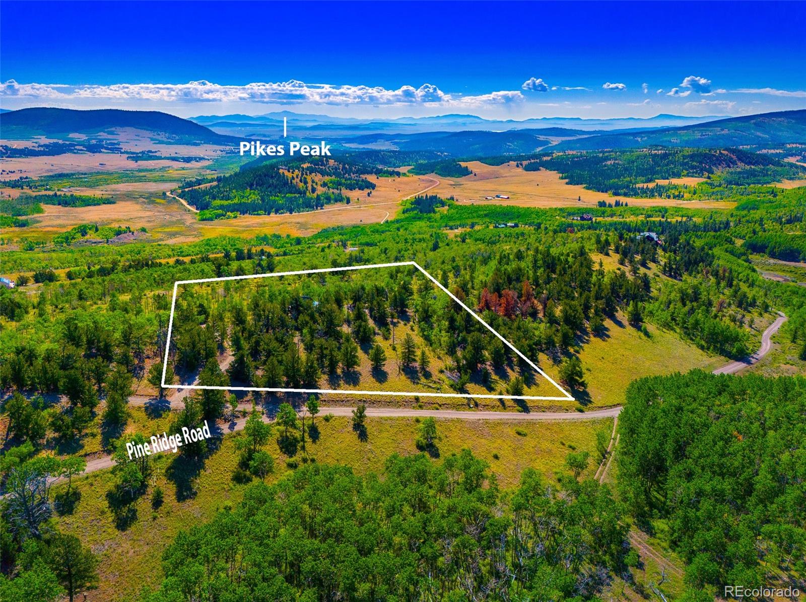 MLS Image #8 for 210  pine ridge road,fairplay, Colorado