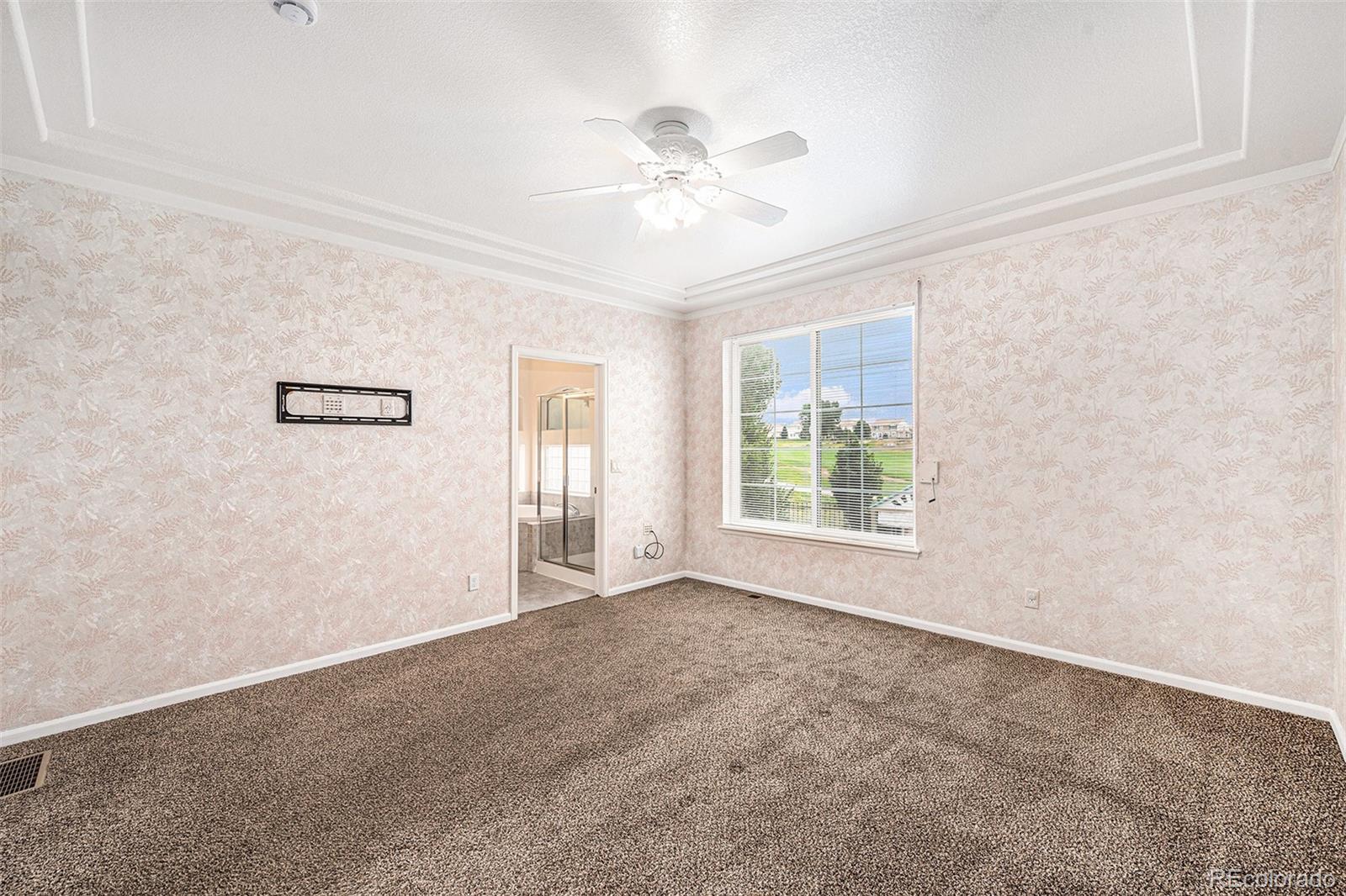 MLS Image #10 for 5134  malaya street,denver, Colorado