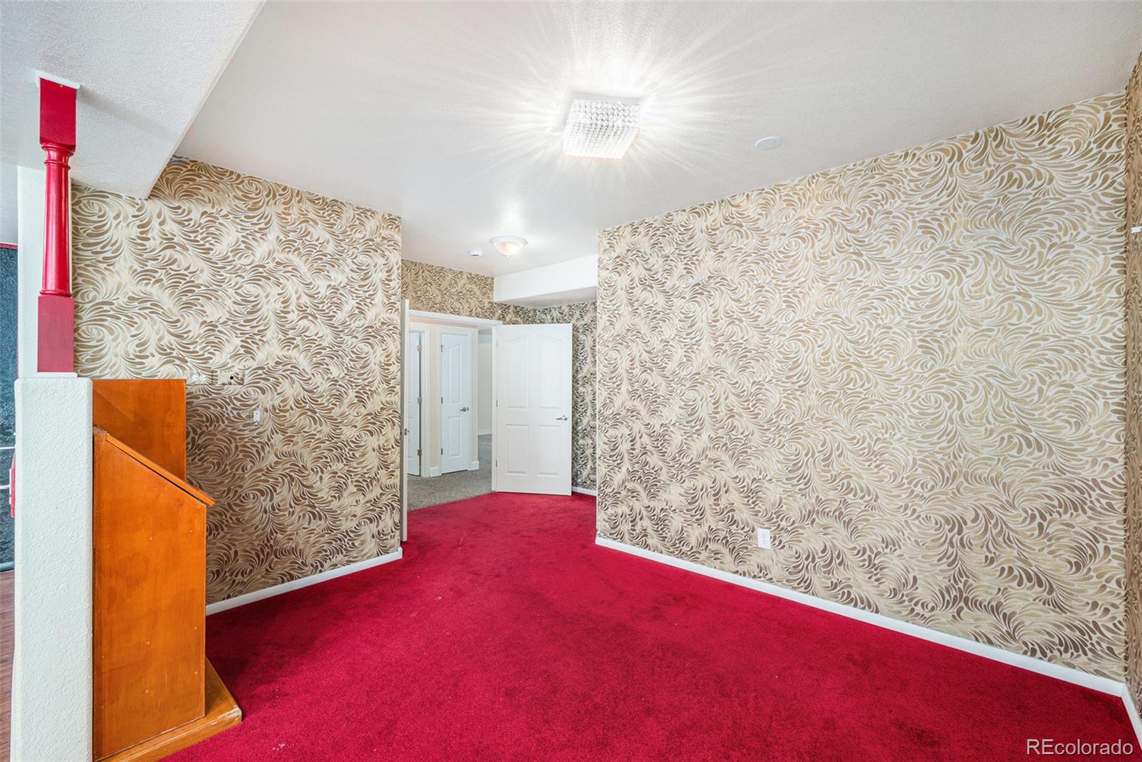MLS Image #21 for 5134  malaya street,denver, Colorado