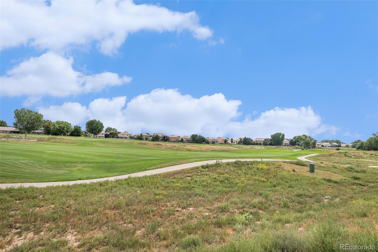 MLS Image #28 for 5134  malaya street,denver, Colorado