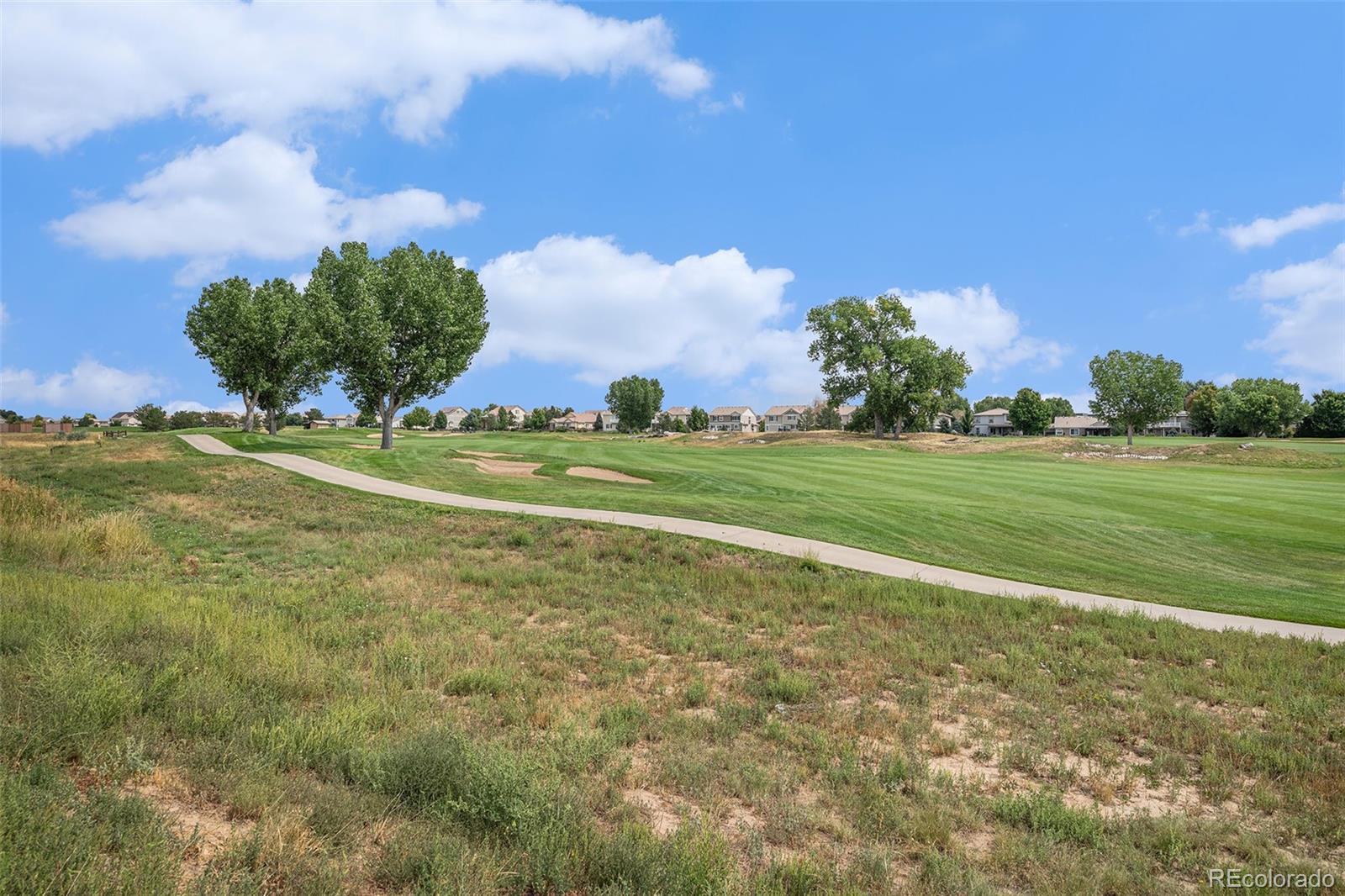 MLS Image #29 for 5134  malaya street,denver, Colorado