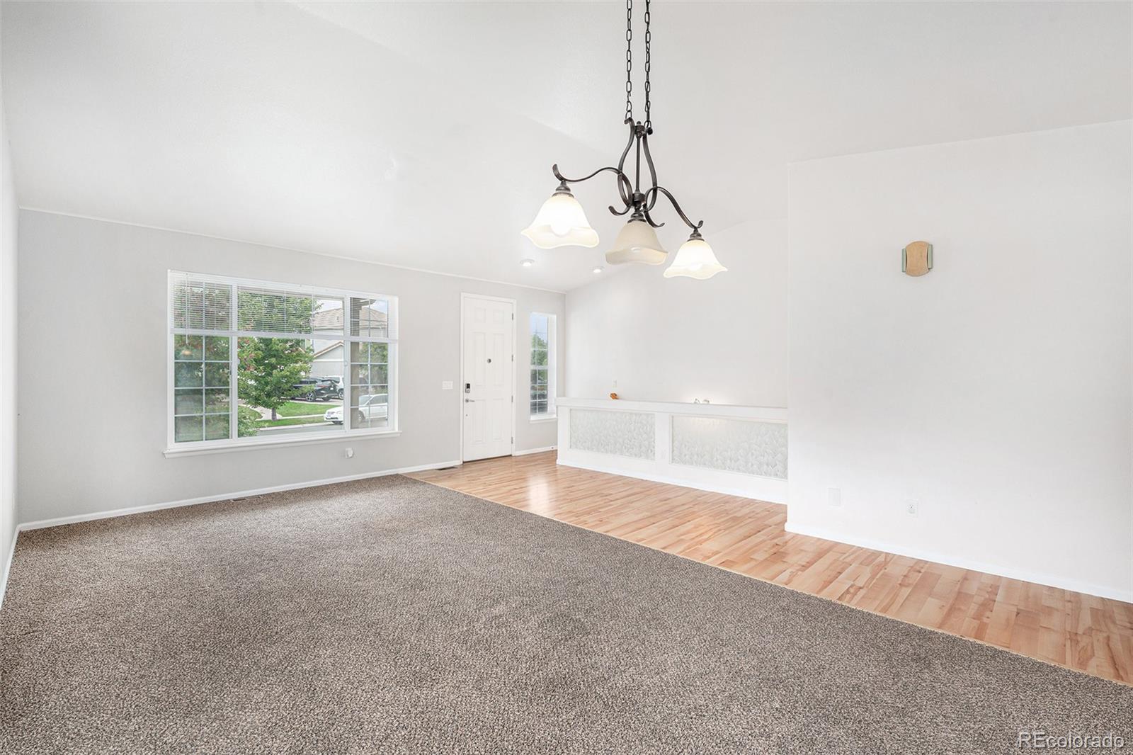 MLS Image #3 for 5134  malaya street,denver, Colorado