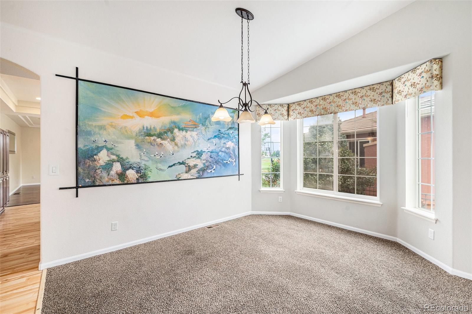 MLS Image #5 for 5134  malaya street,denver, Colorado