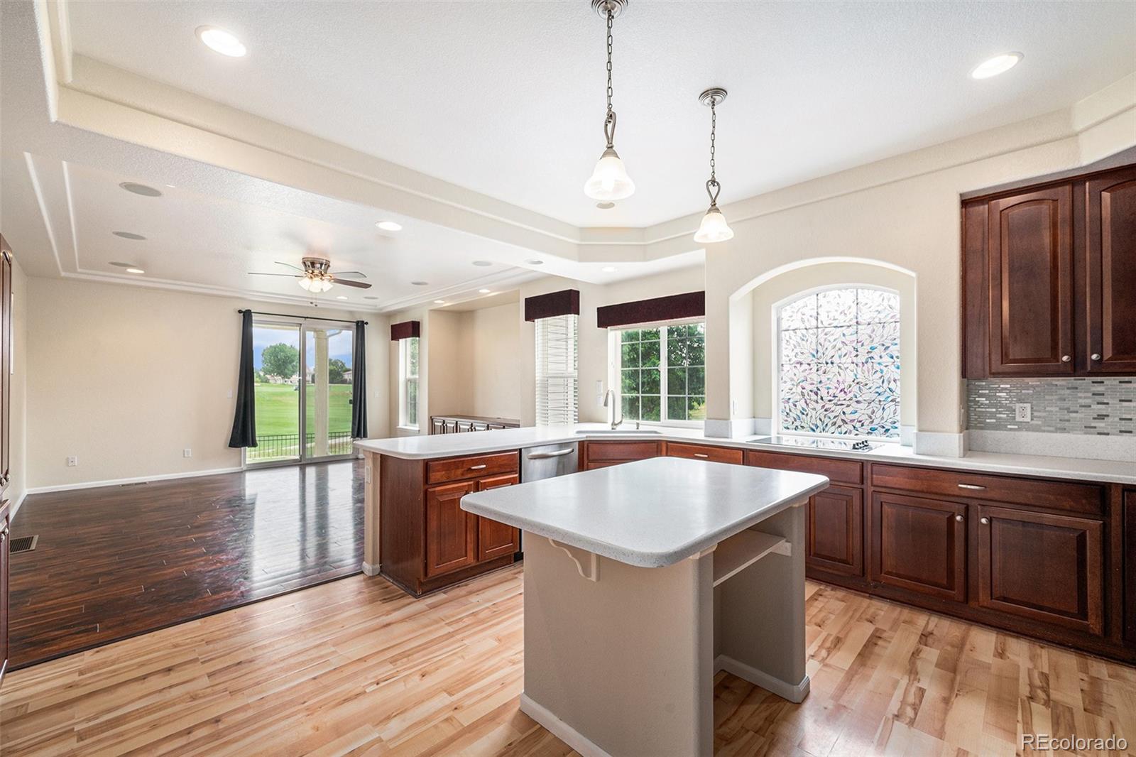 MLS Image #8 for 5134  malaya street,denver, Colorado