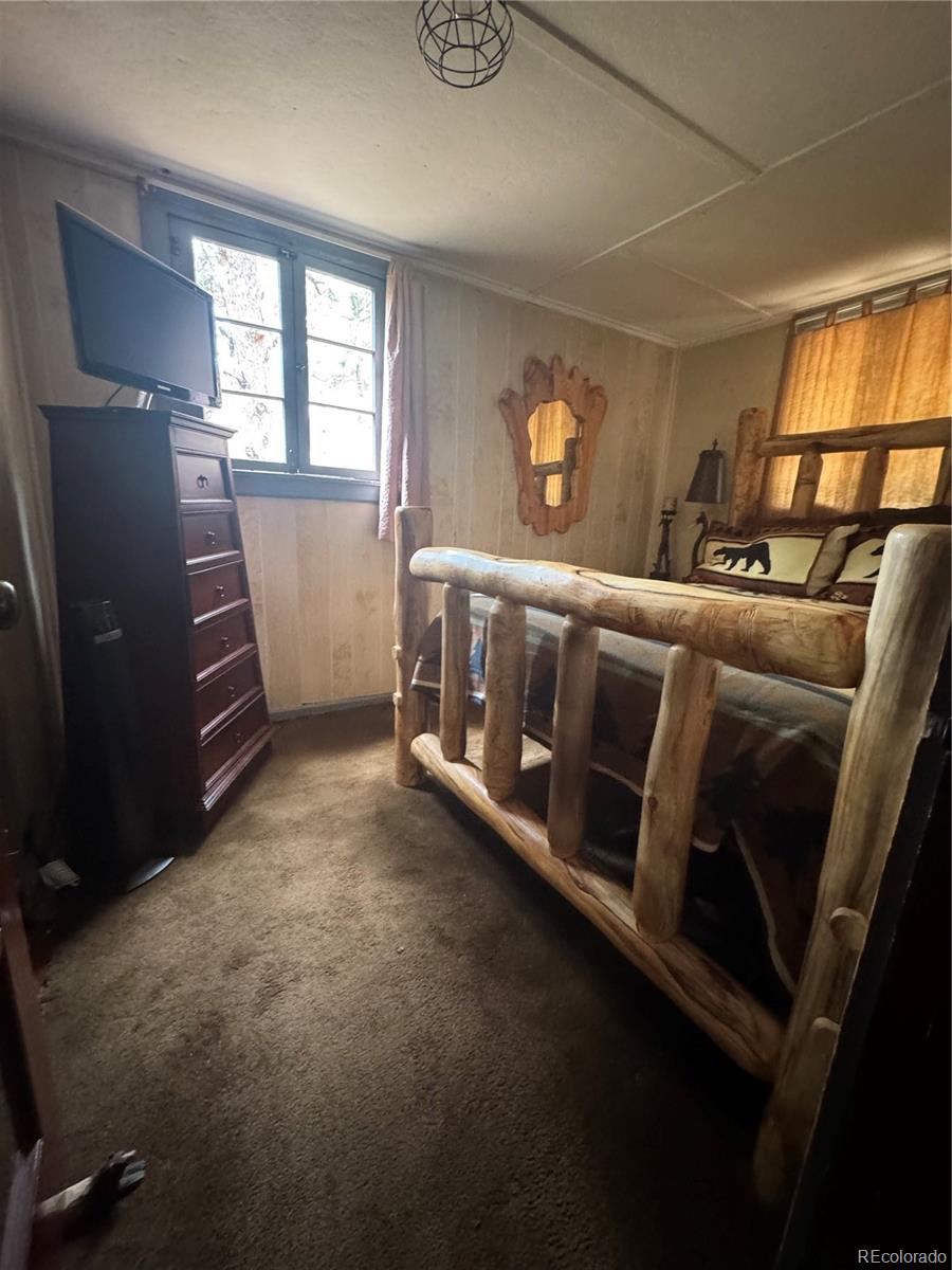 MLS Image #16 for 15751 s elk creek road,pine, Colorado