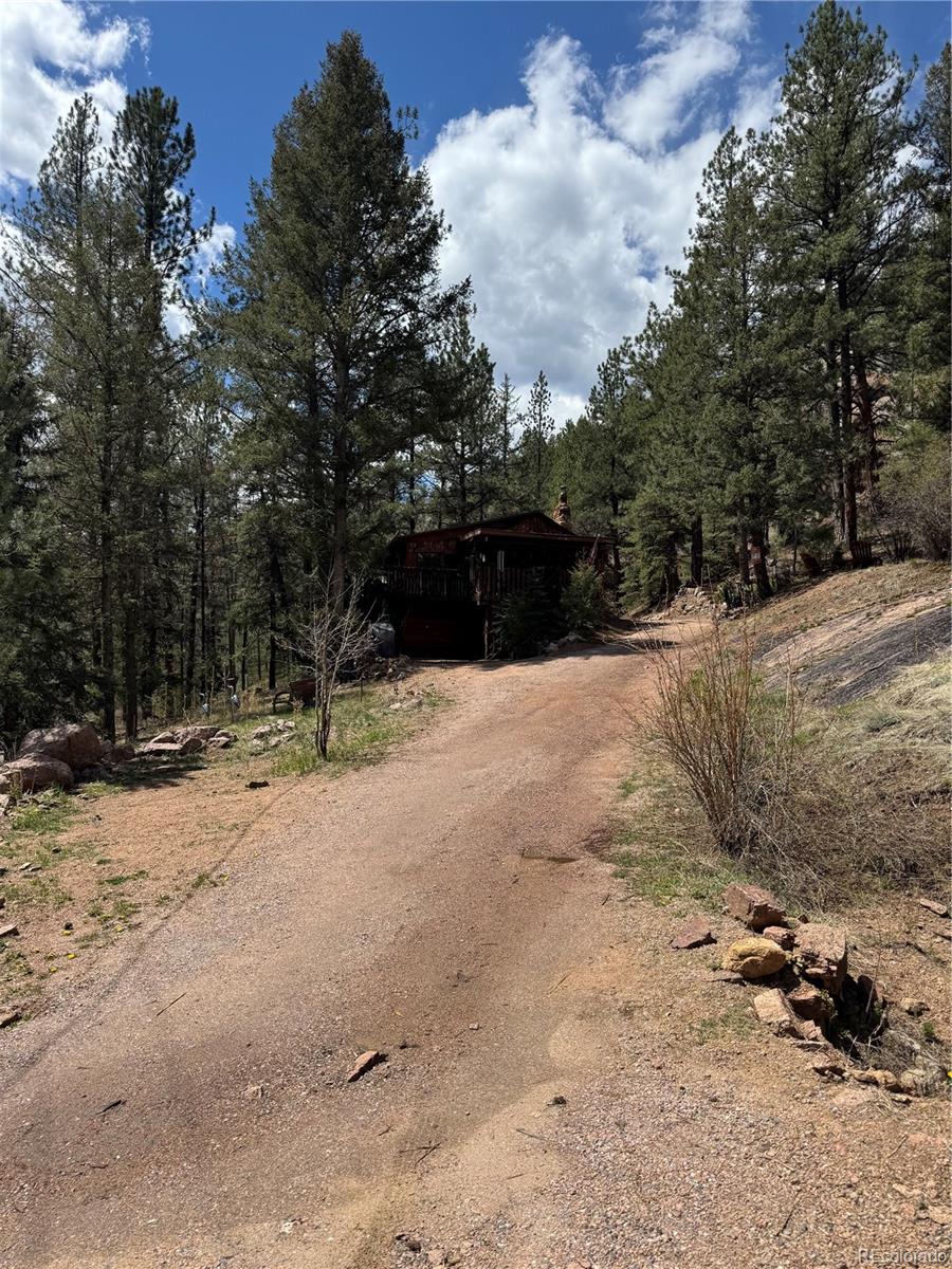 MLS Image #17 for 15751 s elk creek road,pine, Colorado