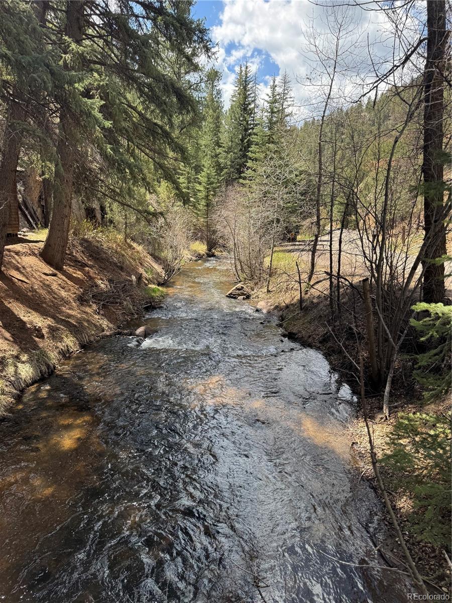 MLS Image #20 for 15751 s elk creek road,pine, Colorado