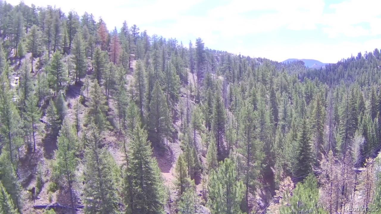 MLS Image #27 for 15751 s elk creek road,pine, Colorado