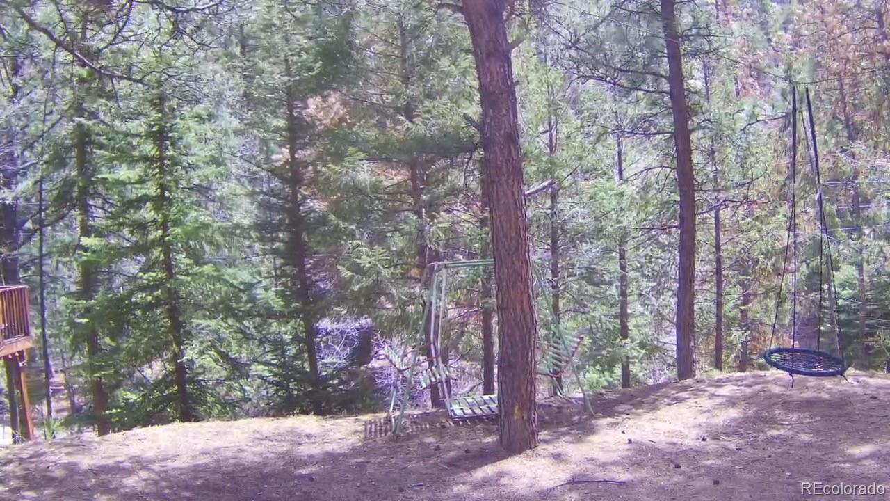 MLS Image #30 for 15751 s elk creek road,pine, Colorado