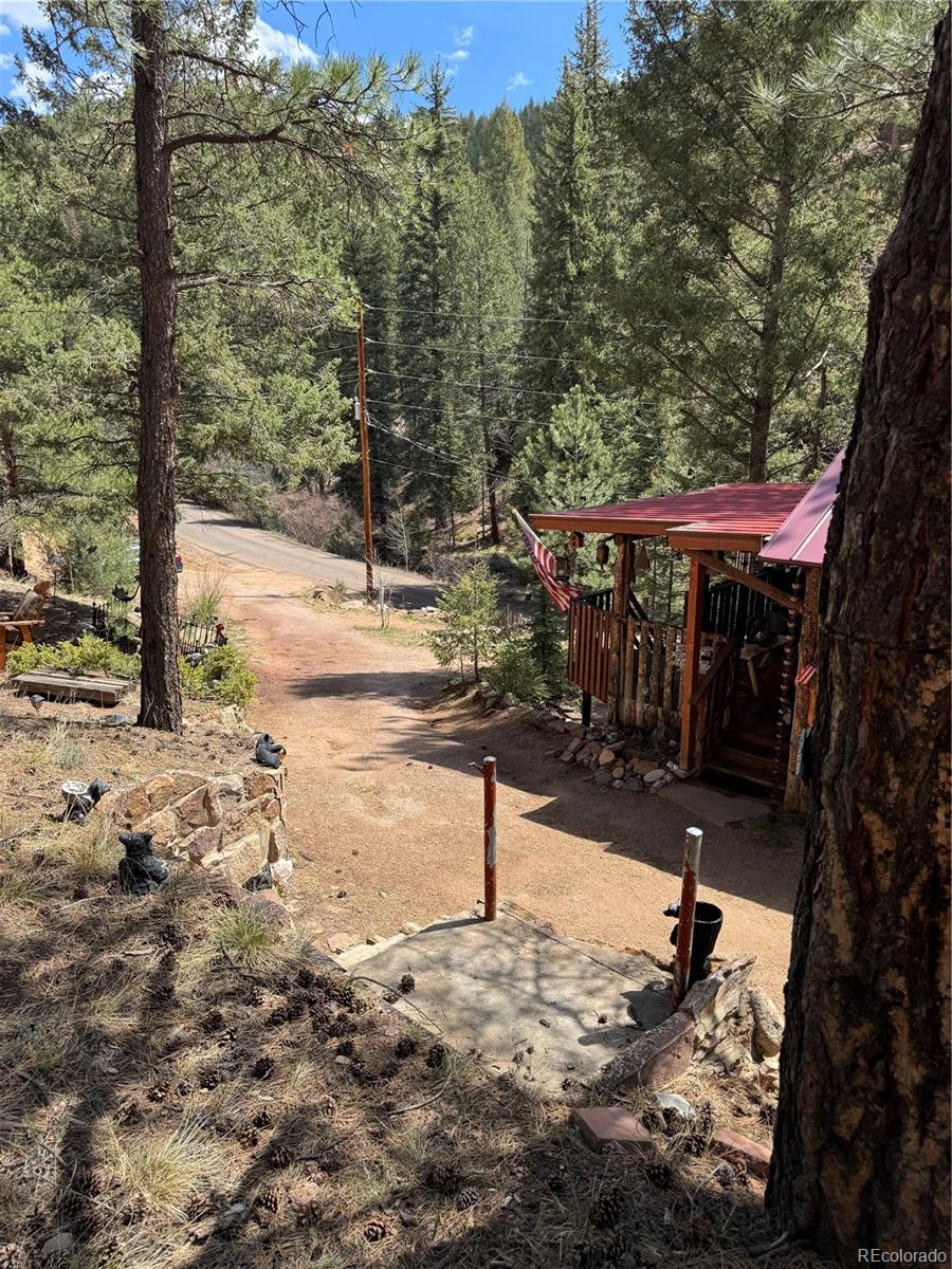 MLS Image #8 for 15751 s elk creek road,pine, Colorado