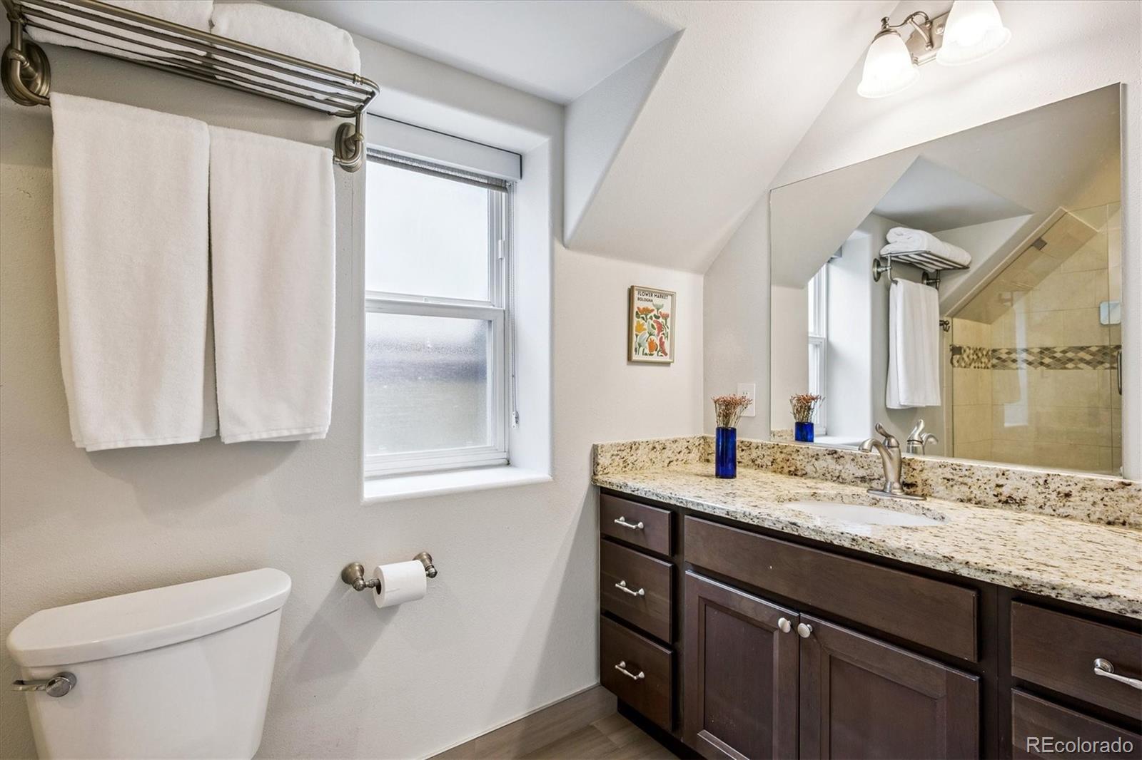 MLS Image #29 for 924 e 22nd avenue,denver, Colorado