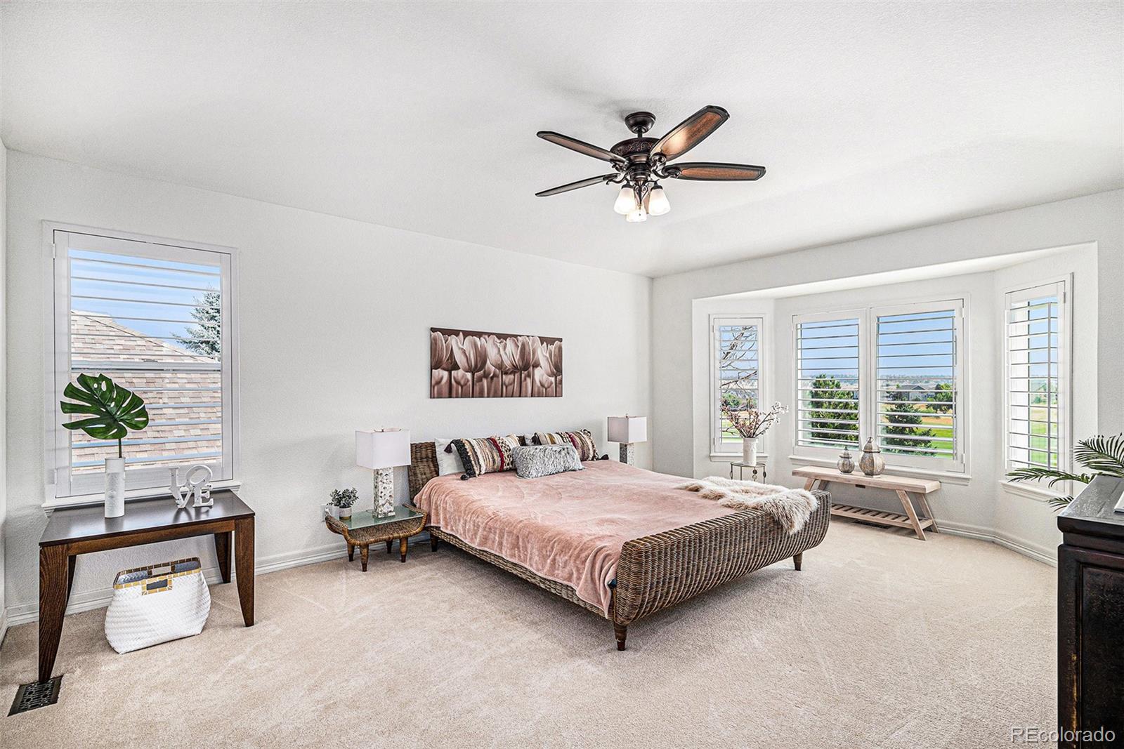 MLS Image #20 for 11660  coeur d alene drive,parker, Colorado