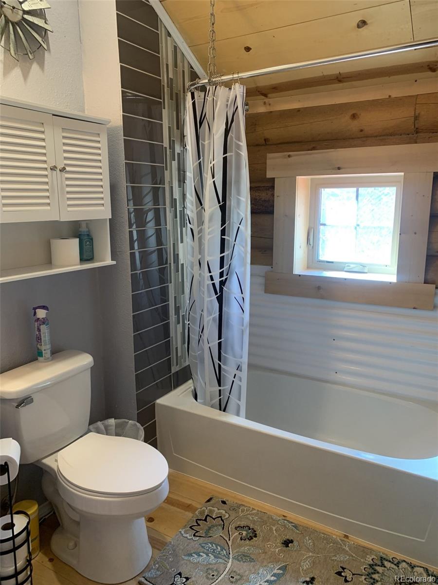 MLS Image #14 for 550  cedar drive,leadville, Colorado