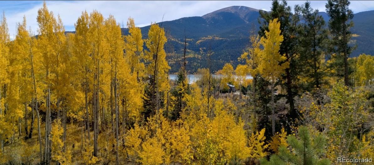 MLS Image #16 for 550  cedar drive,leadville, Colorado