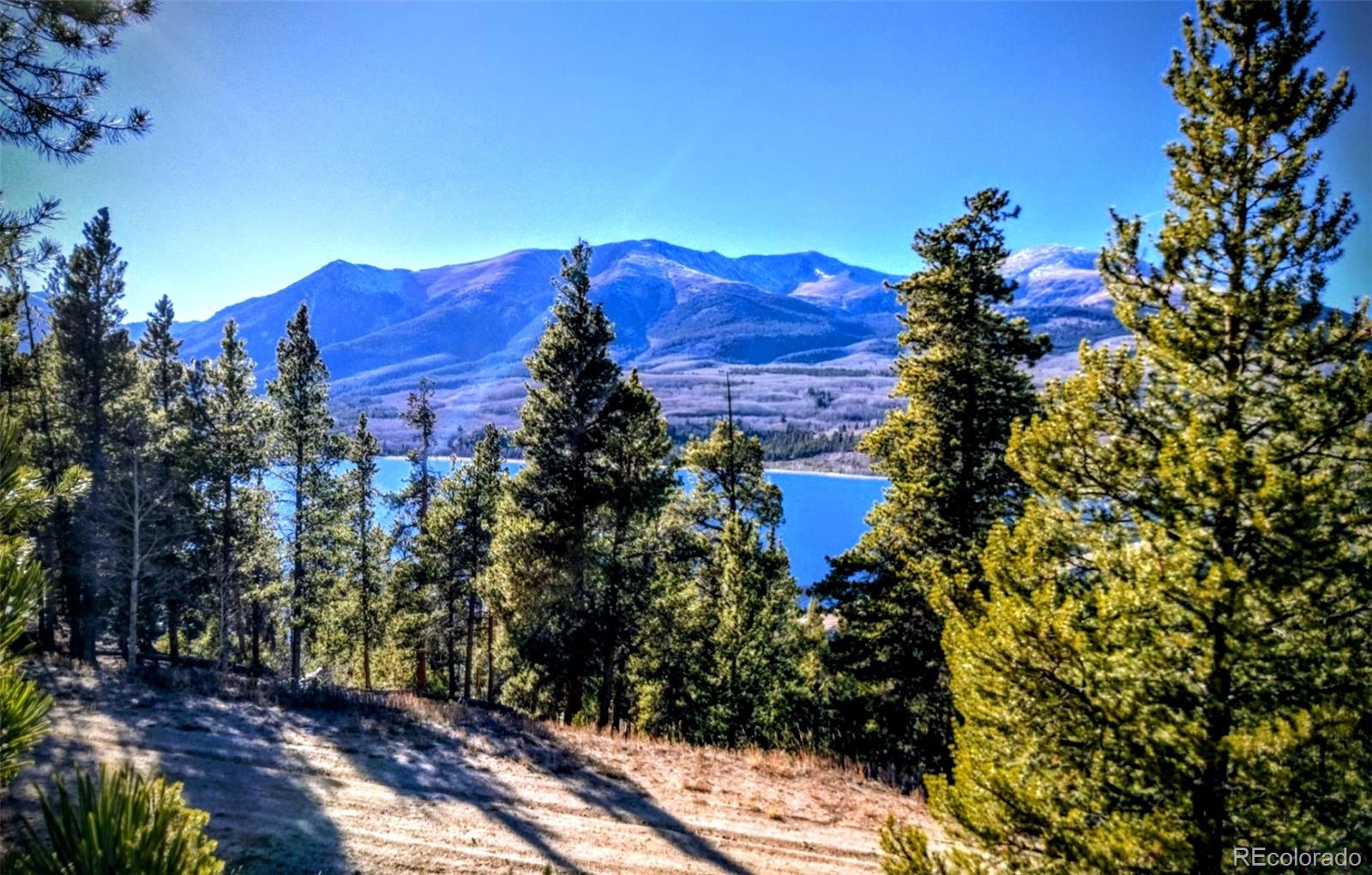 MLS Image #18 for 550  cedar drive,leadville, Colorado