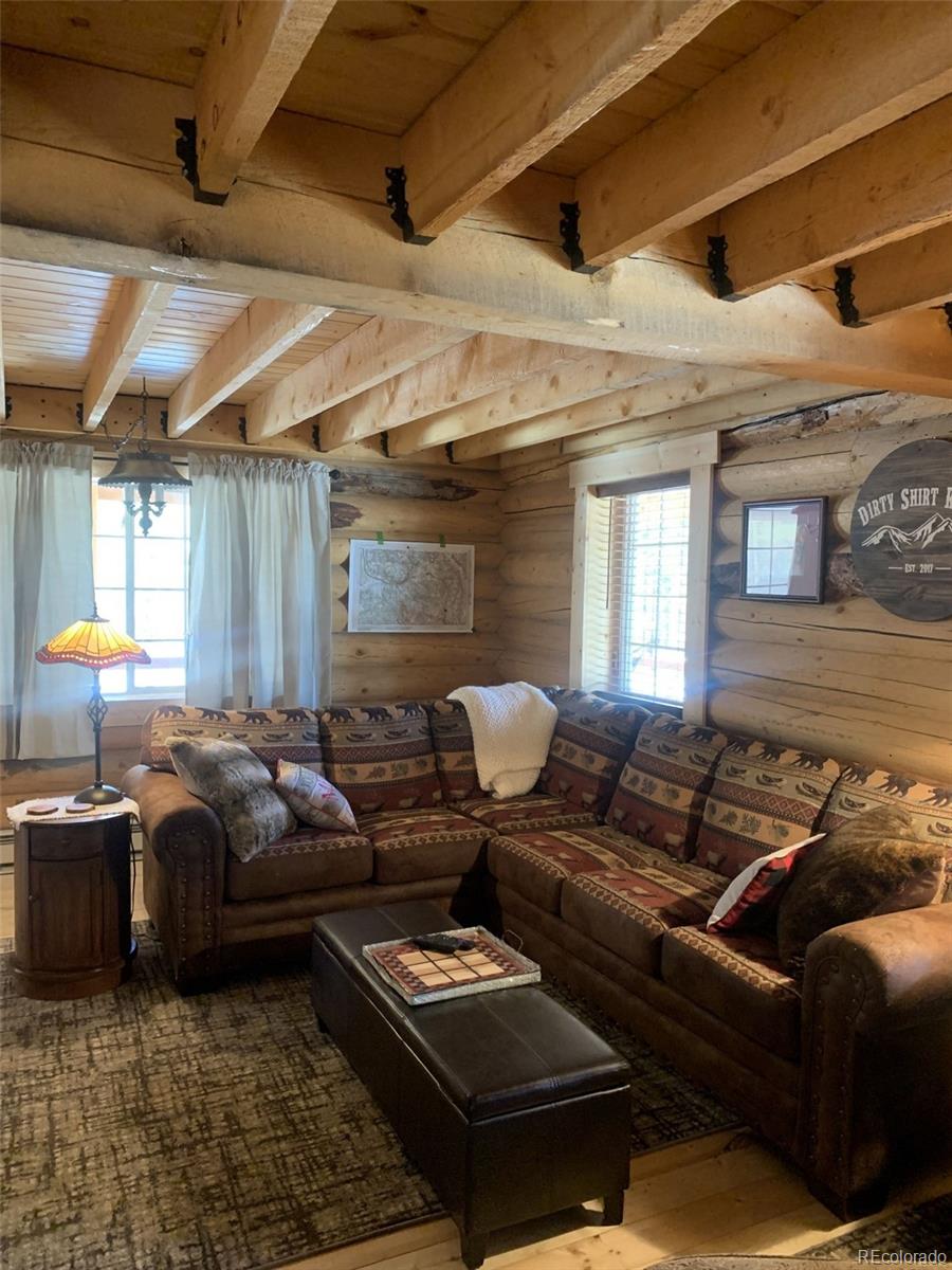 MLS Image #5 for 550  cedar drive,leadville, Colorado