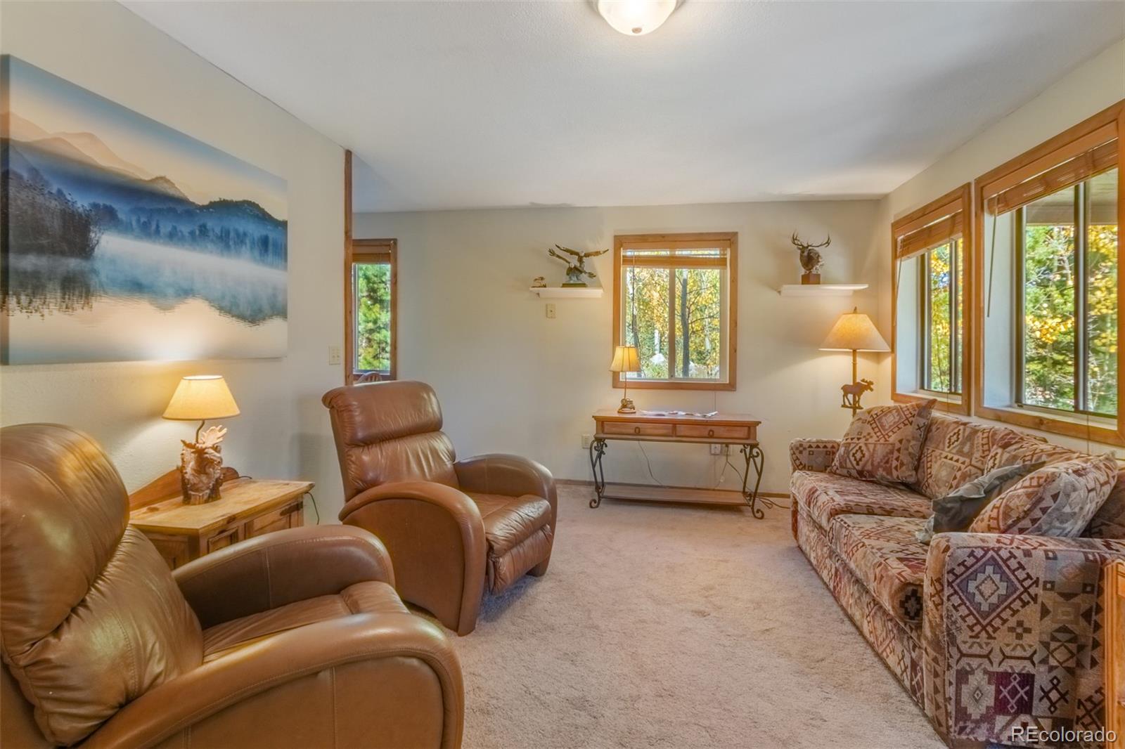 MLS Image #1 for 1239  gcr 49 ,grand lake, Colorado