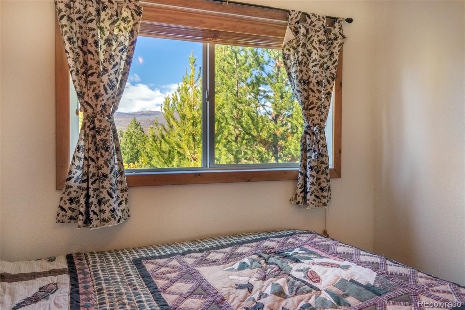 MLS Image #12 for 1239  gcr 49 ,grand lake, Colorado