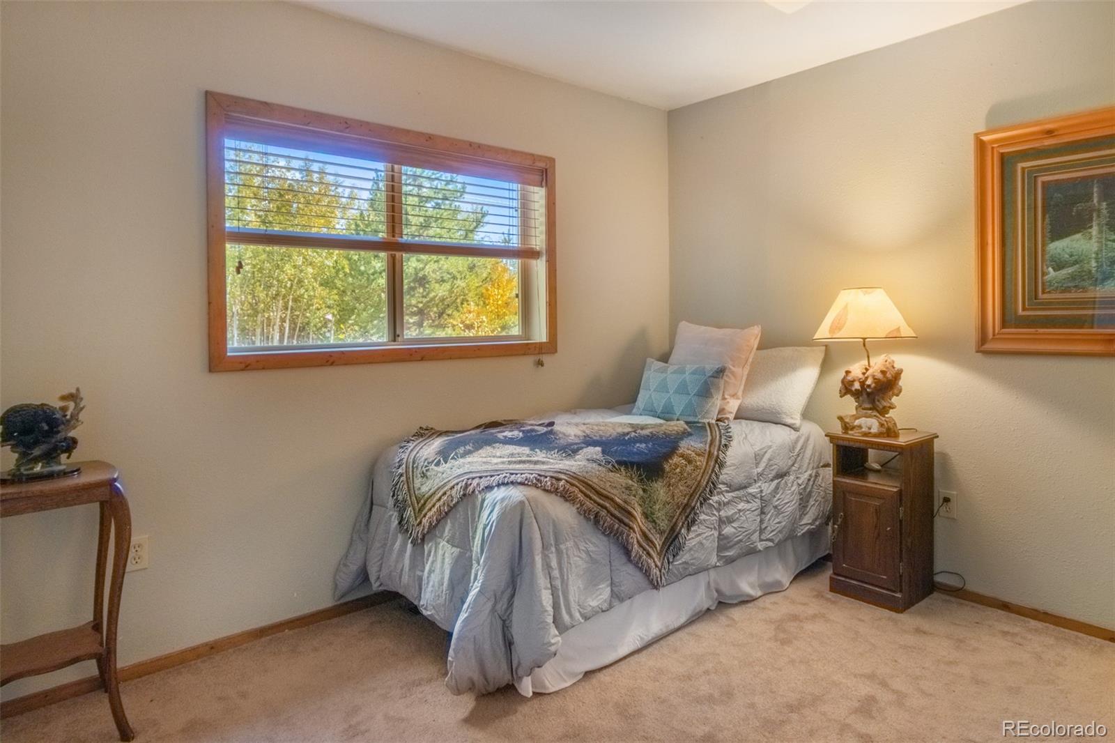 MLS Image #13 for 1239  gcr 49 ,grand lake, Colorado
