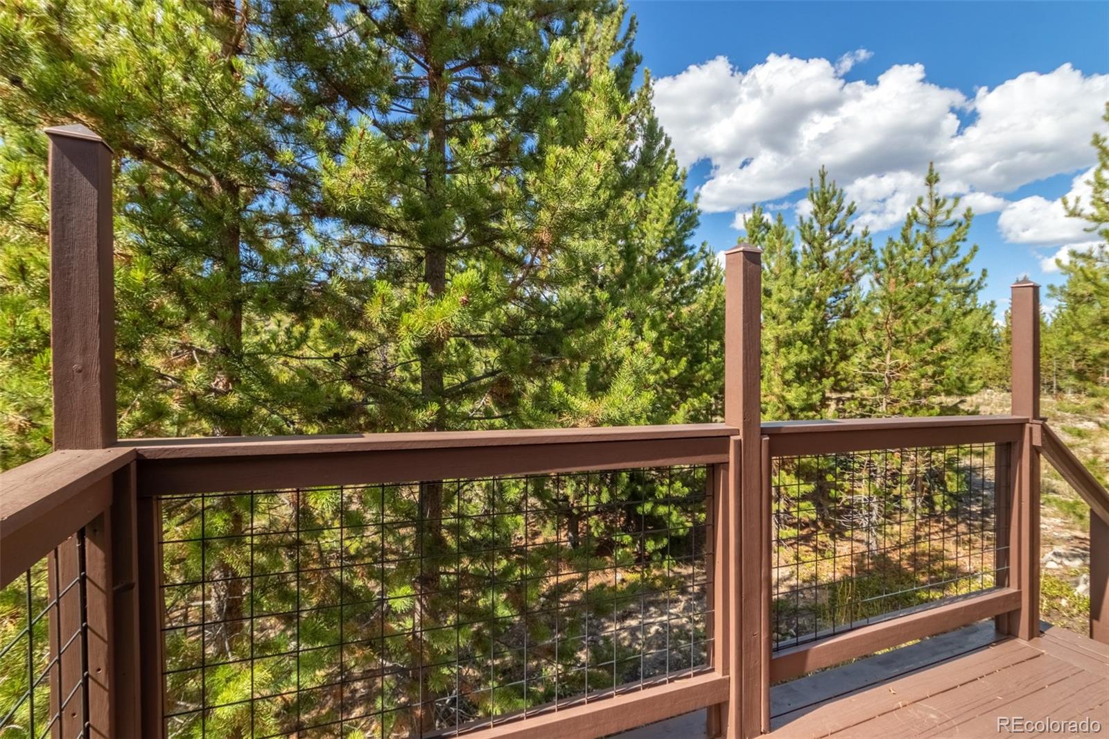 MLS Image #16 for 1239  gcr 49 ,grand lake, Colorado