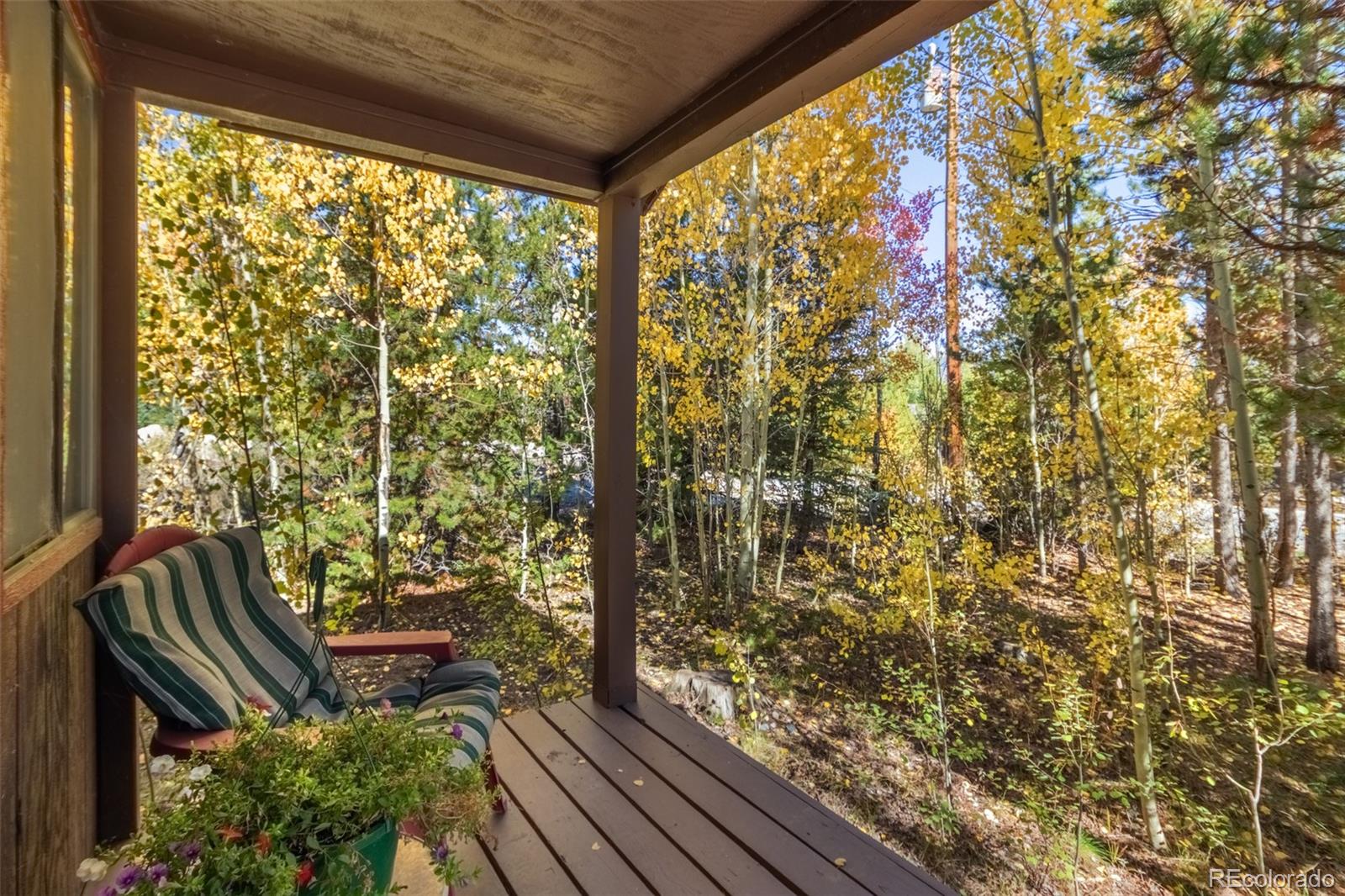 MLS Image #3 for 1239  gcr 49 ,grand lake, Colorado