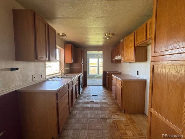 MLS Image #5 for 7961  county road 2a ,rush, Colorado