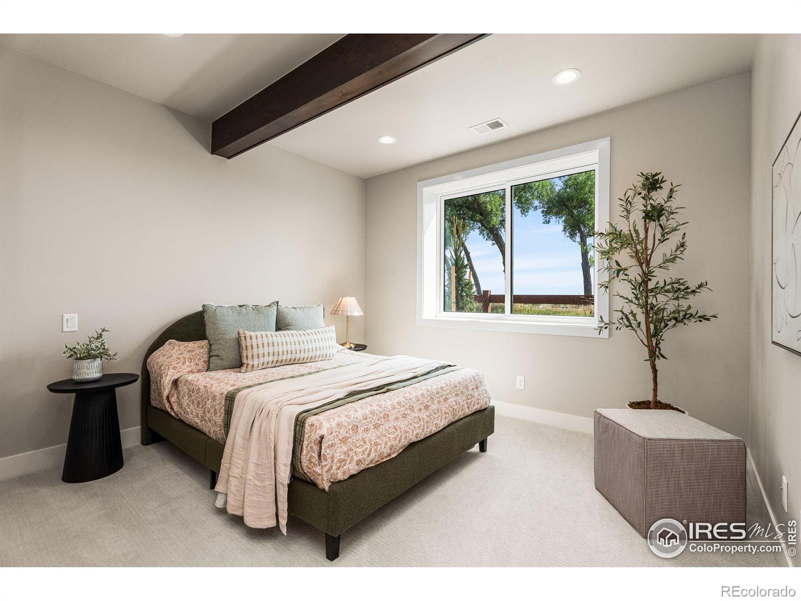 MLS Image #29 for 6719  morning song court,timnath, Colorado