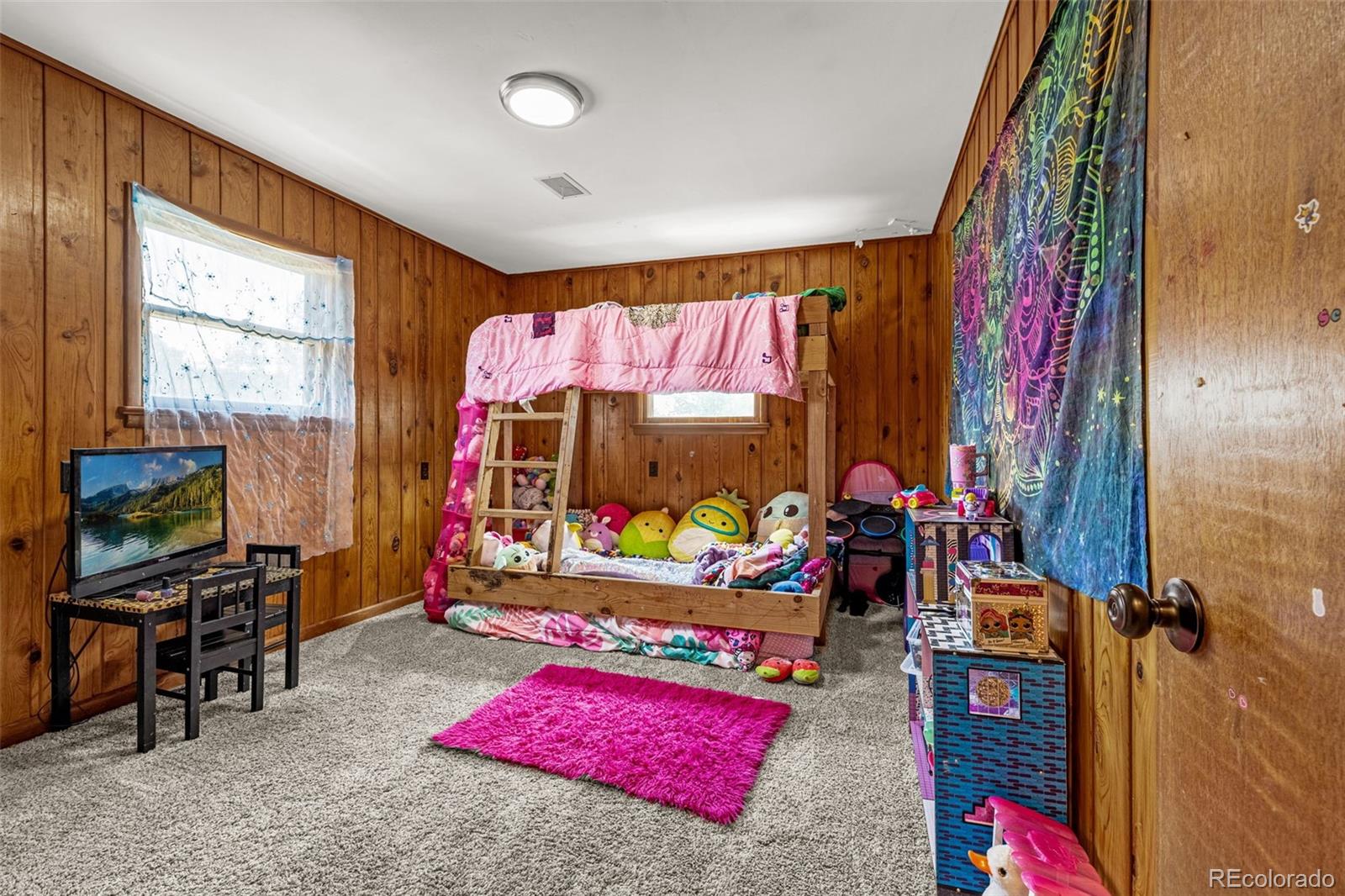 MLS Image #18 for 1030  woodland avenue,woodland park, Colorado