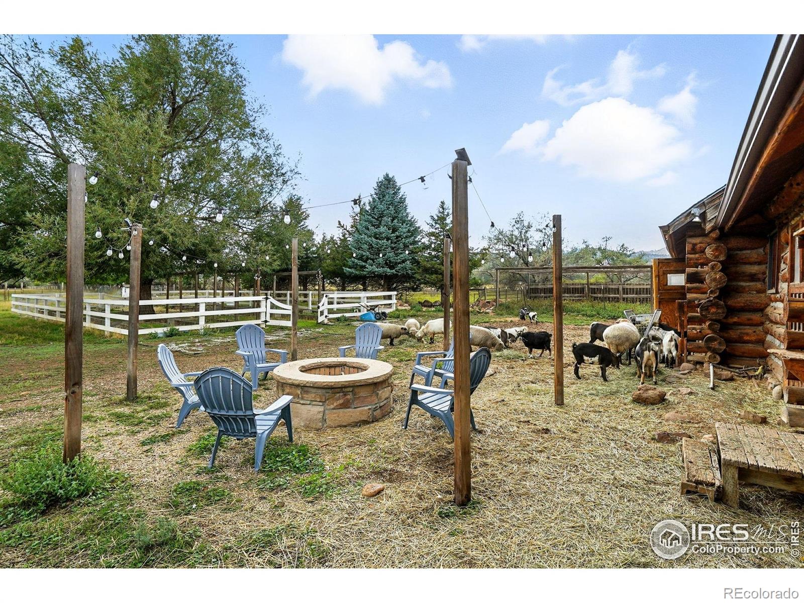 MLS Image #41 for 7979 n 41st street,longmont, Colorado