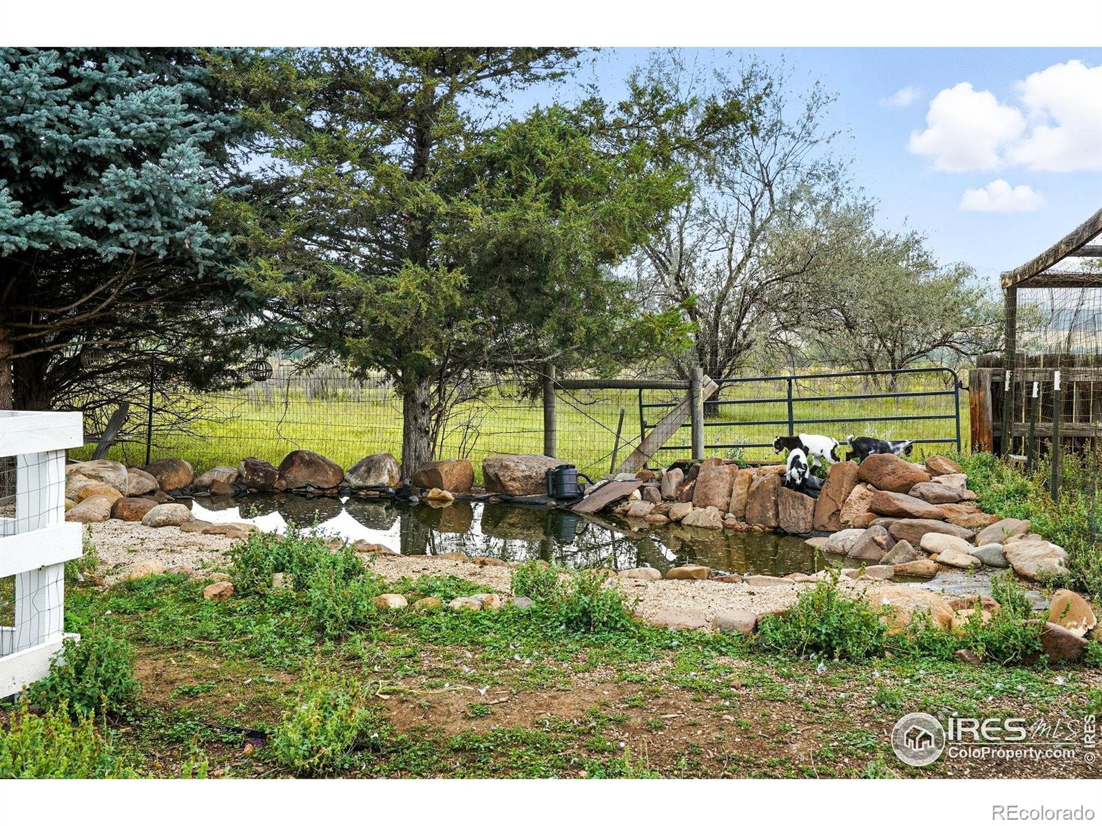 MLS Image #42 for 7979 n 41st street,longmont, Colorado