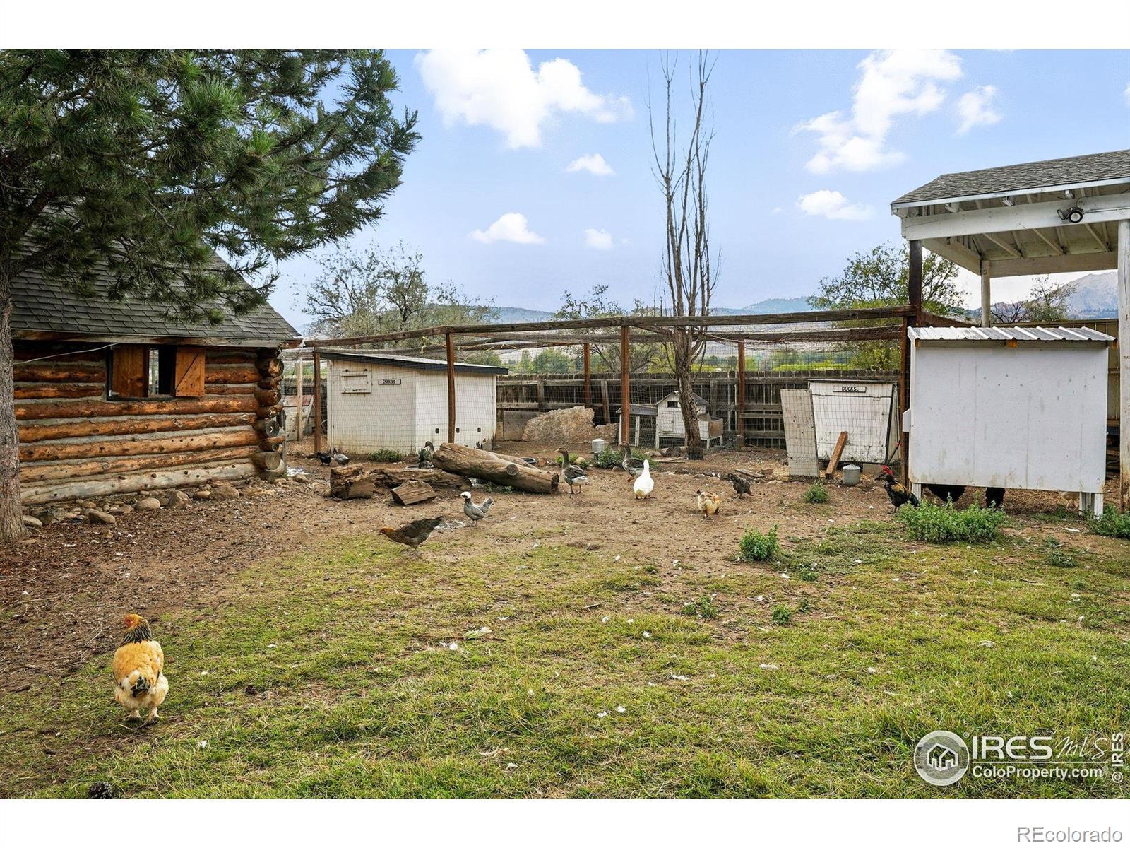 MLS Image #44 for 7979 n 41st street,longmont, Colorado