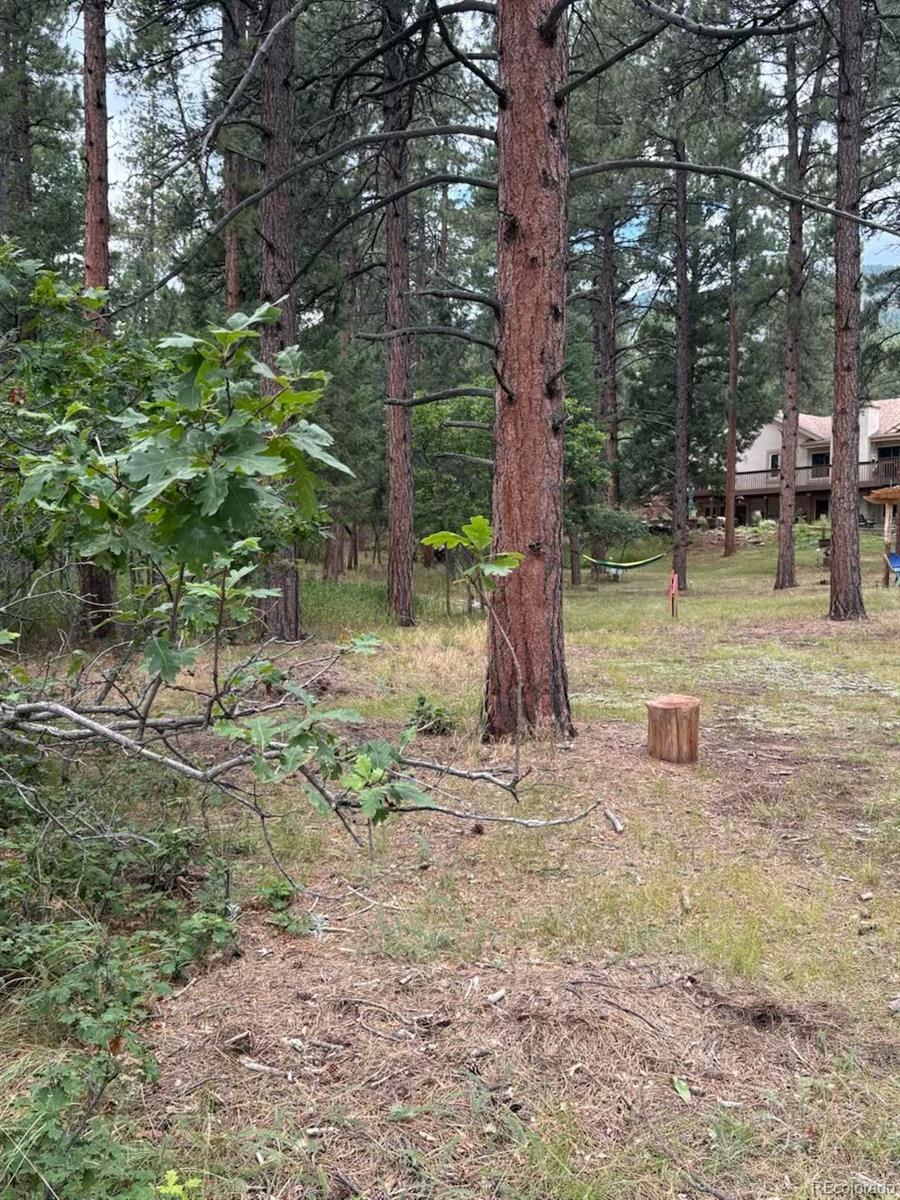 MLS Image #2 for 5028  crow drive,larkspur, Colorado