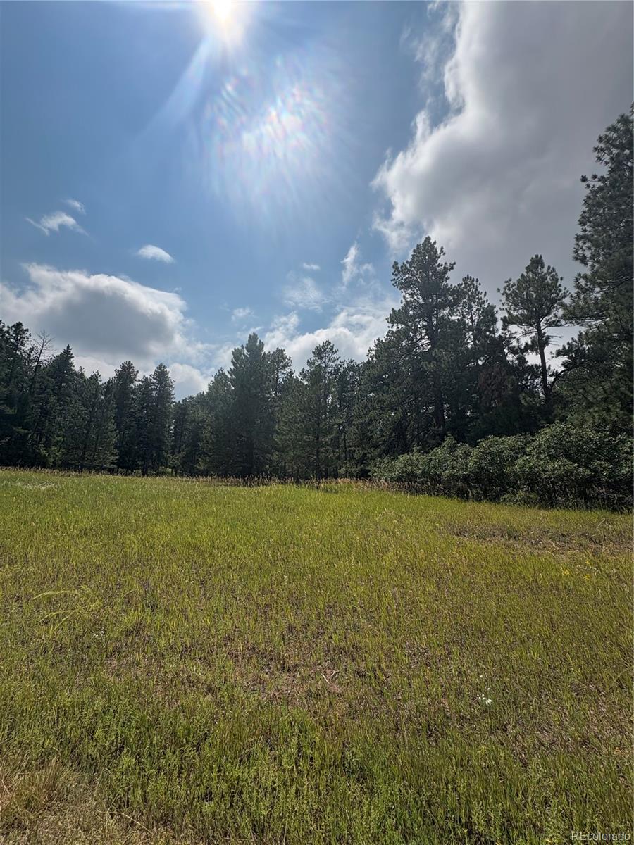 MLS Image #5 for 5028  crow drive,larkspur, Colorado