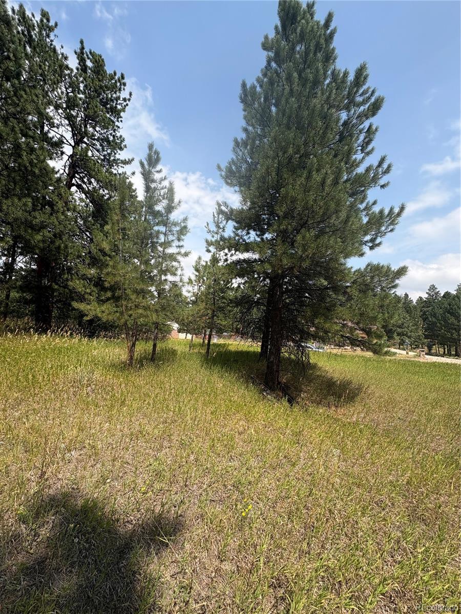 MLS Image #6 for 5028  crow drive,larkspur, Colorado