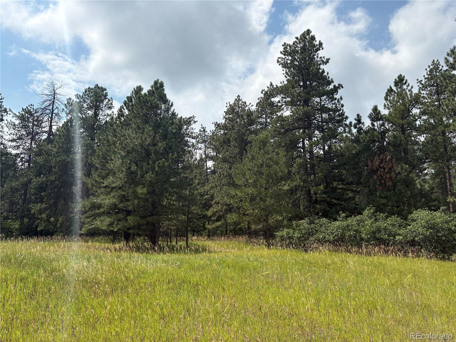 MLS Image #7 for 5028  crow drive,larkspur, Colorado