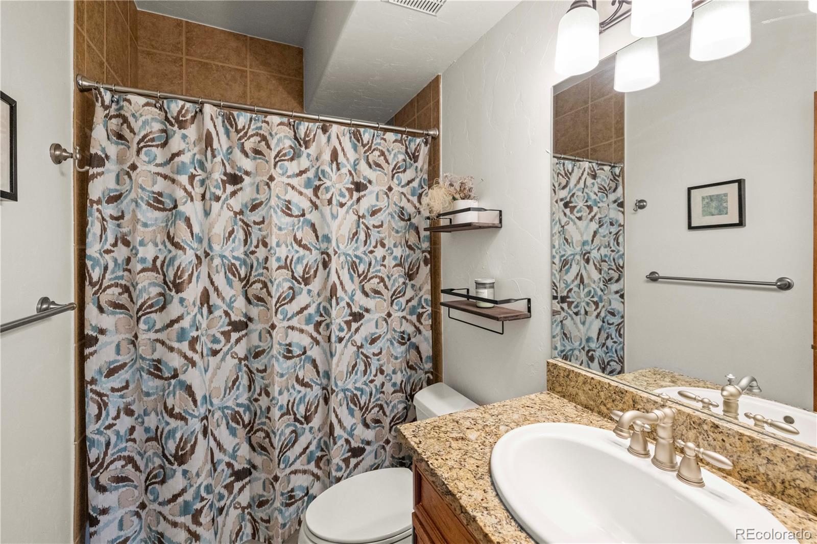 MLS Image #17 for 117 s 6th avenue,frisco, Colorado