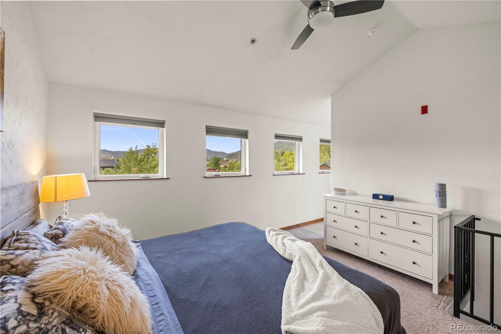 MLS Image #18 for 117 s 6th avenue,frisco, Colorado