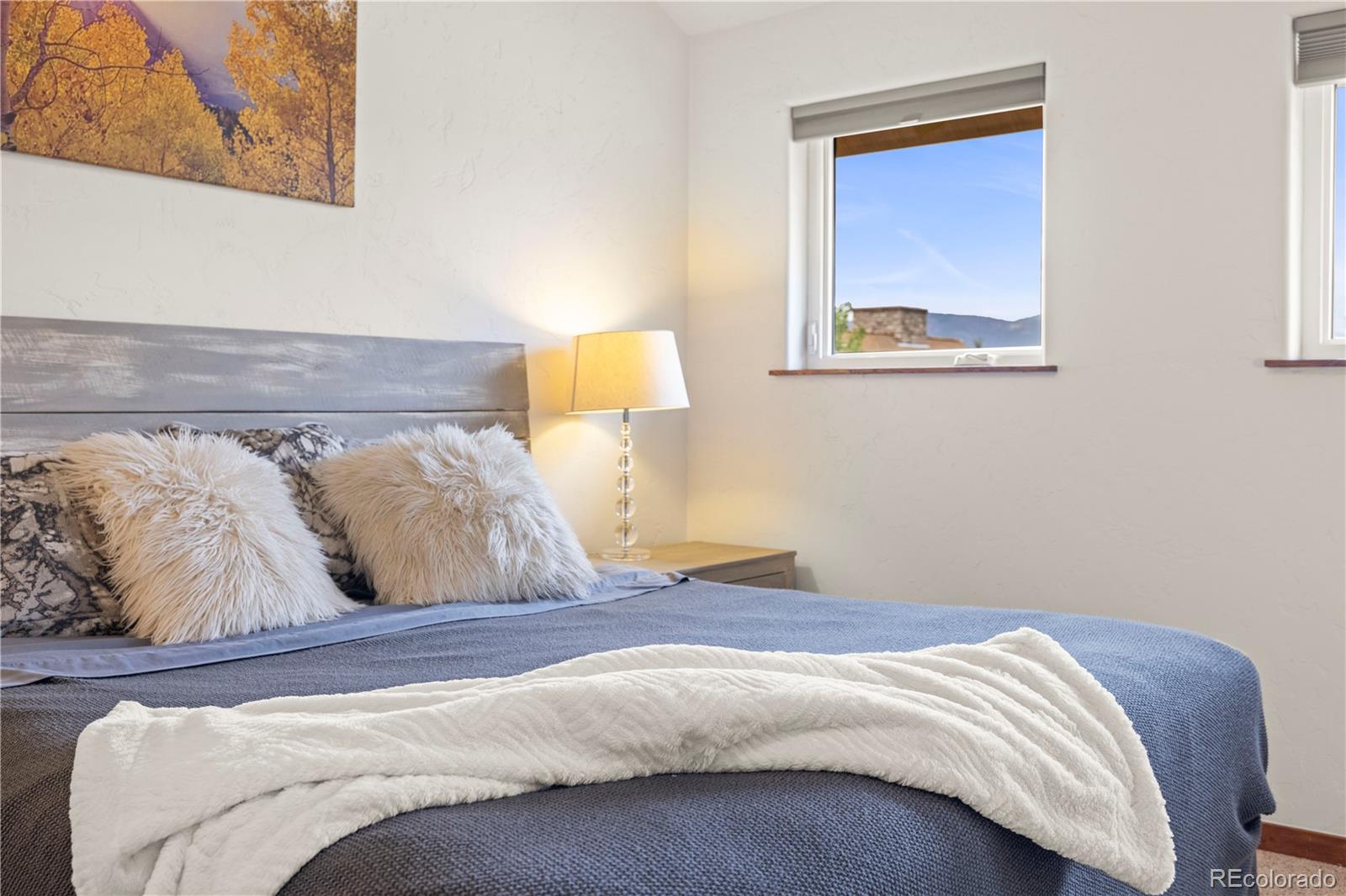 MLS Image #20 for 117 s 6th avenue,frisco, Colorado