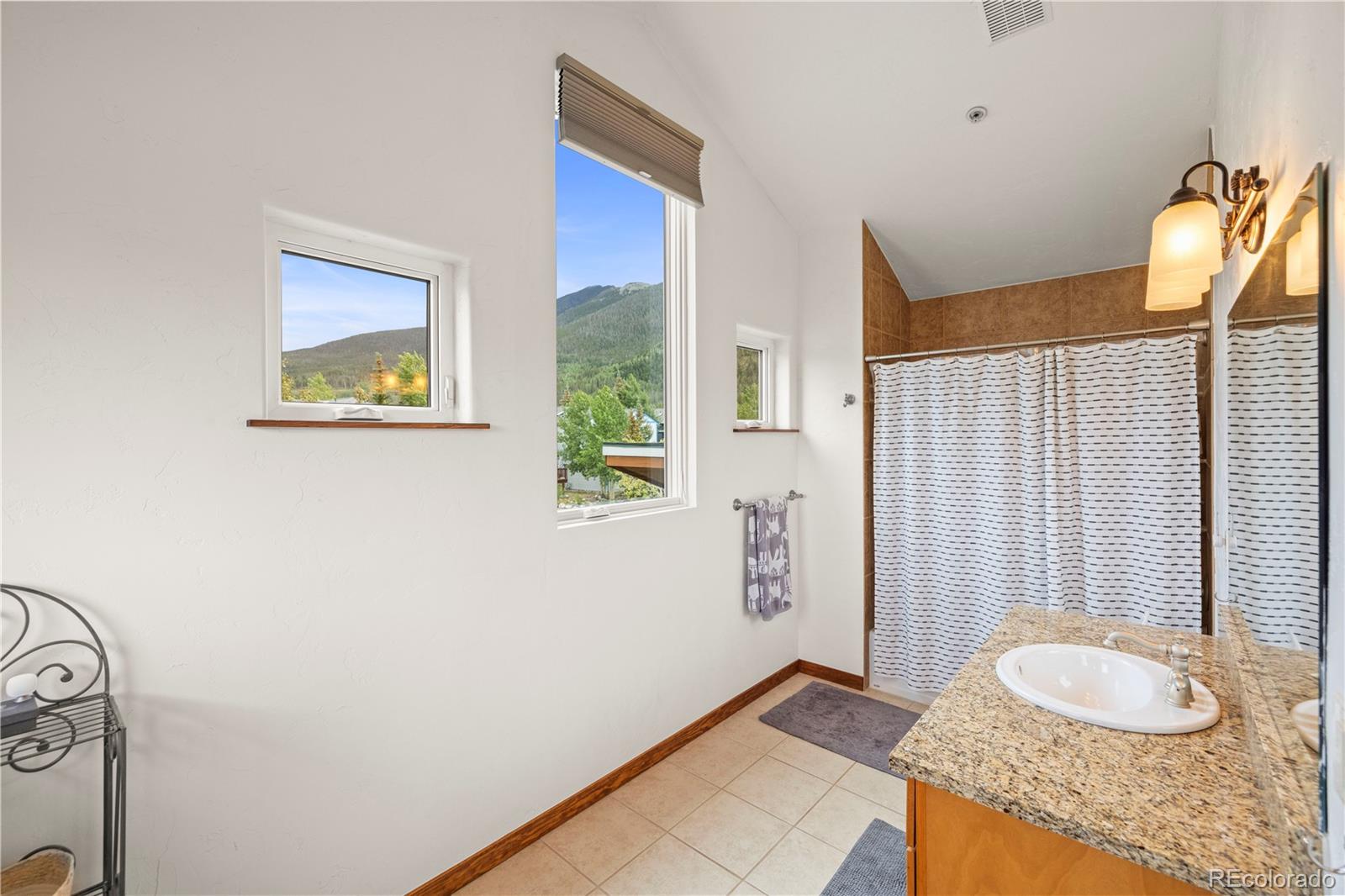 MLS Image #22 for 117 s 6th avenue,frisco, Colorado