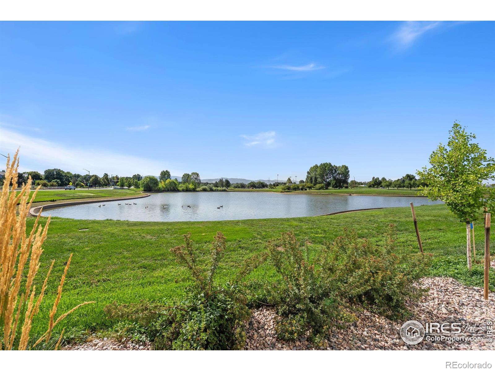 MLS Image #12 for 5561  wheelhouse way,fort collins, Colorado