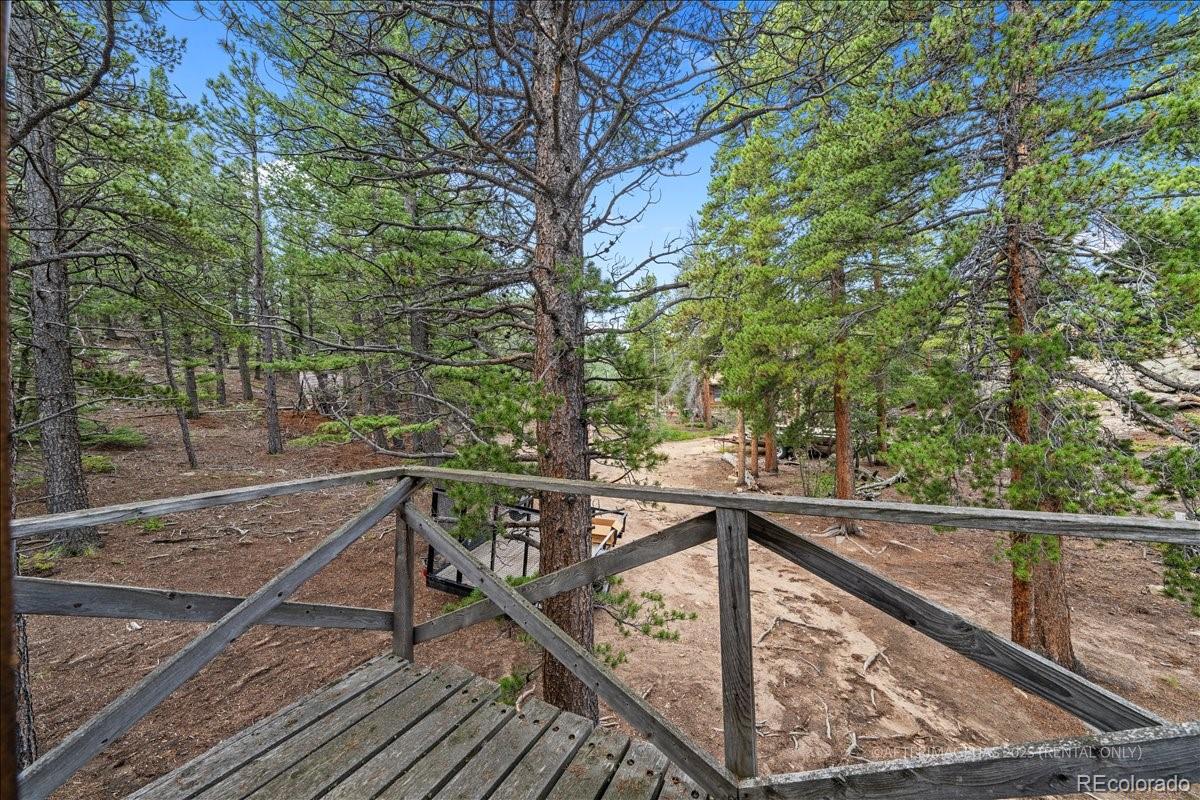 MLS Image #15 for 177  sutherland road,allenspark, Colorado