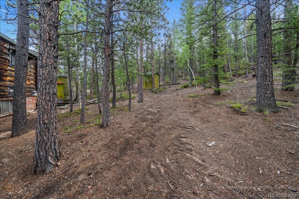 MLS Image #30 for 177  sutherland road,allenspark, Colorado