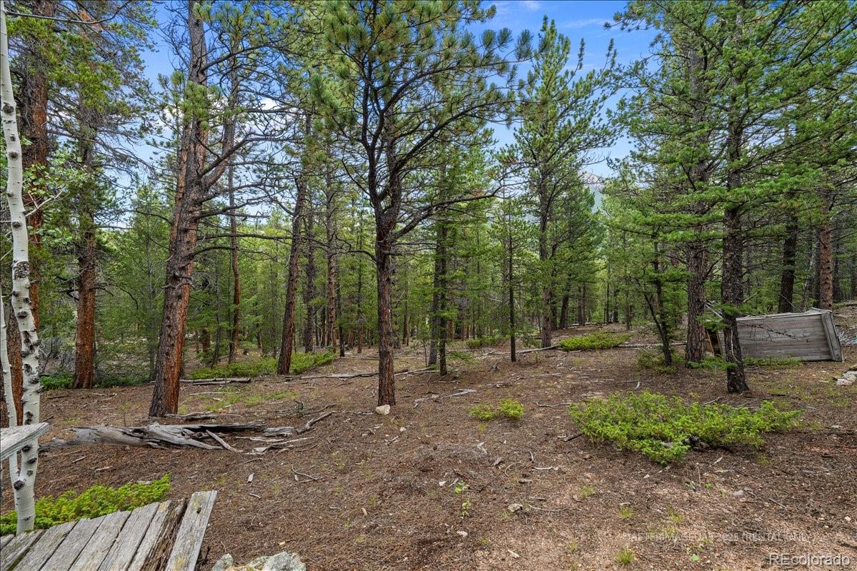 MLS Image #31 for 177  sutherland road,allenspark, Colorado