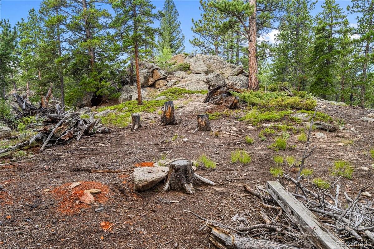 MLS Image #5 for 177  sutherland road,allenspark, Colorado